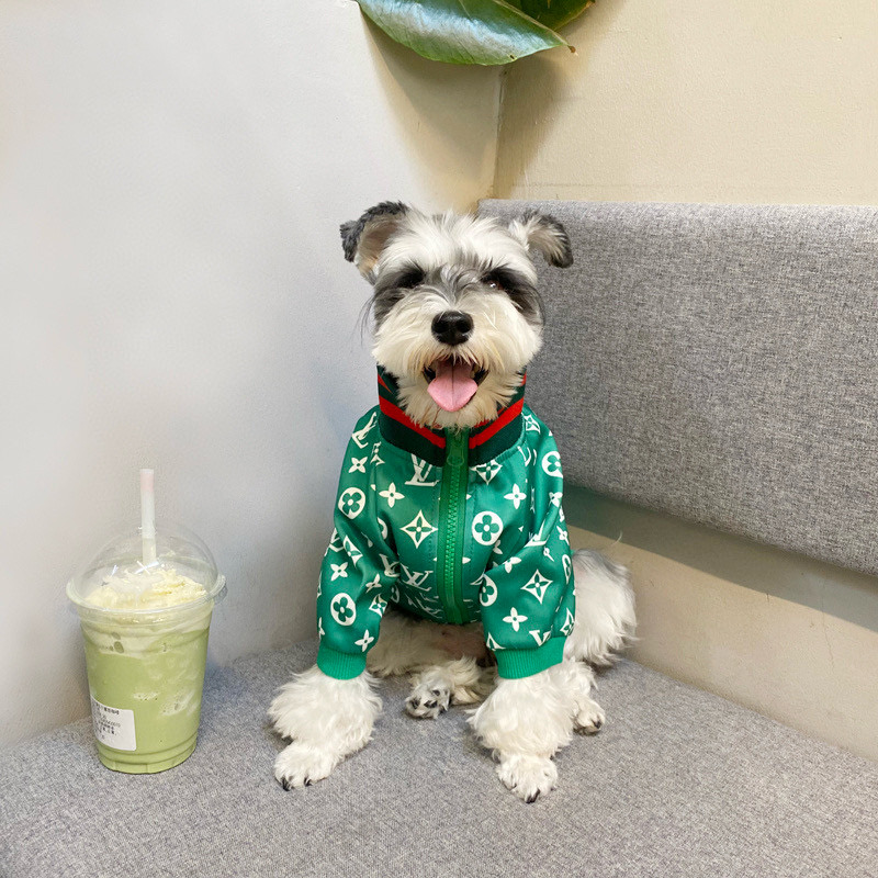 Ветровка для собак в стиле Louis Vuitton Monogram зелёного цвета