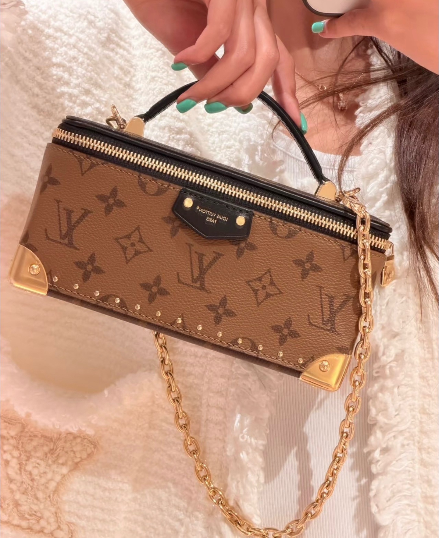 Сумка женская Louis Vuitton Vanity Pouch Trunk из коричневого цвета