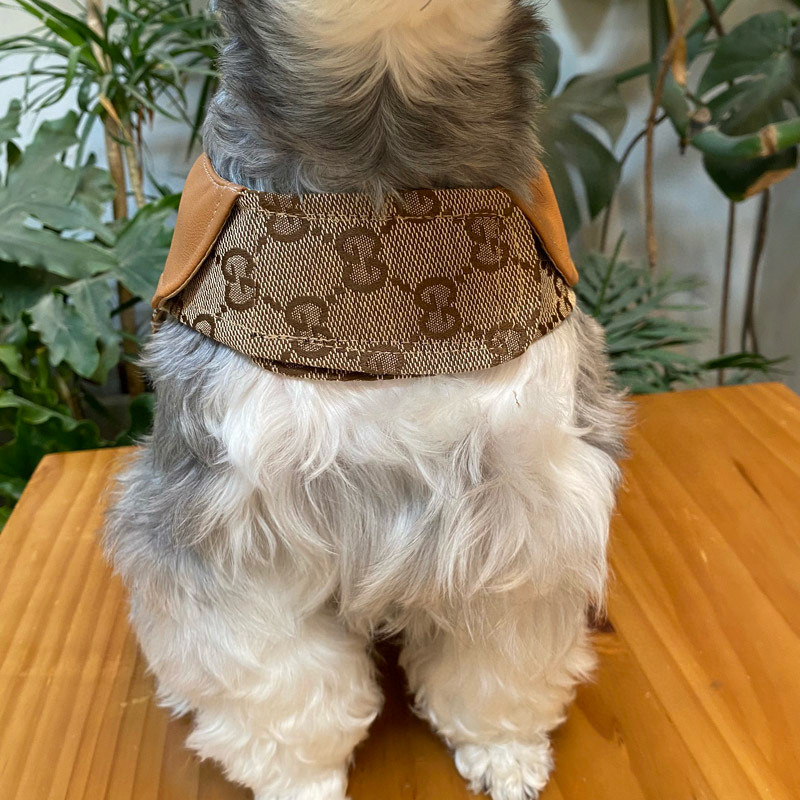 Жилет-платье для собак в стиле Gucci Horsebit Monogram с карамельным воротником