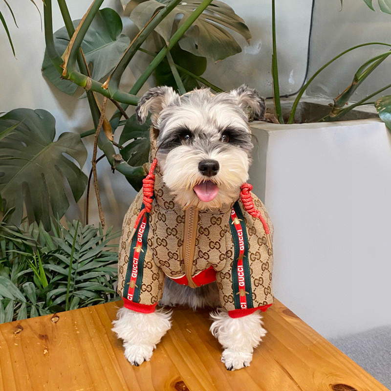 Куртка-дождевик для собак в стиле Gucci Monogram с капюшоном и мотивом пчелы