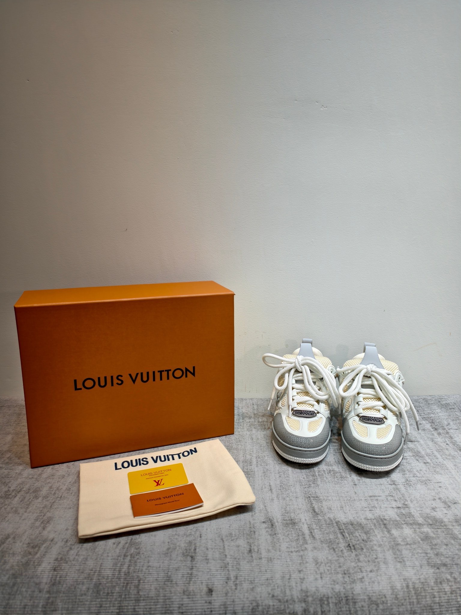 Кроссовки Louis Vuitton Trainer Skate серо-белого цвета