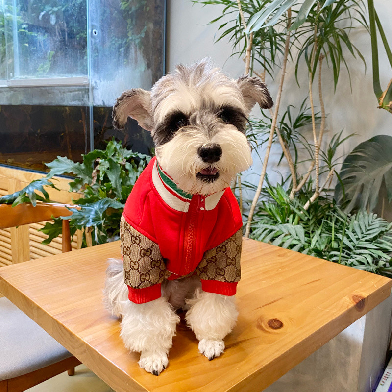 Кофта для собак в стиле Gucci Apple Monogram
