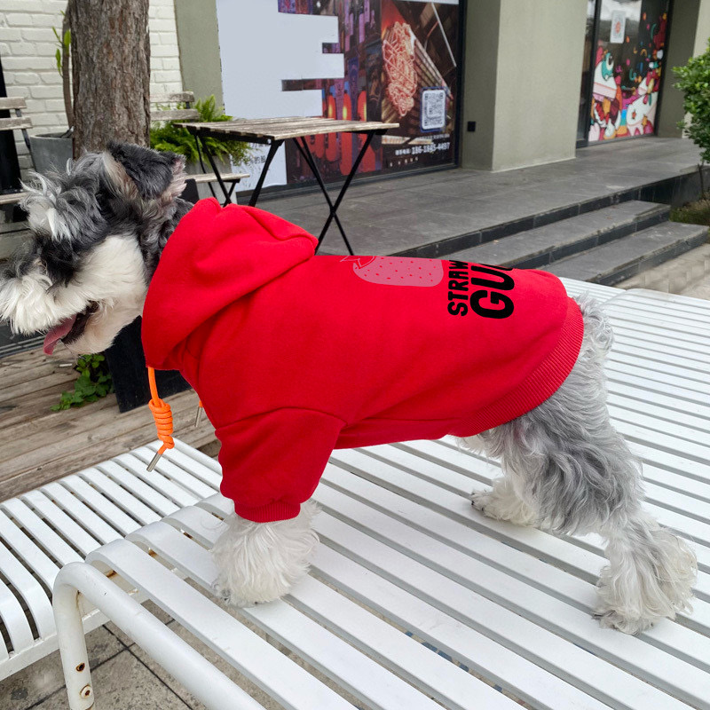 Худи для собак в стиле Gucci Strawberry из хлопкового футера с капюшоном красного цвета