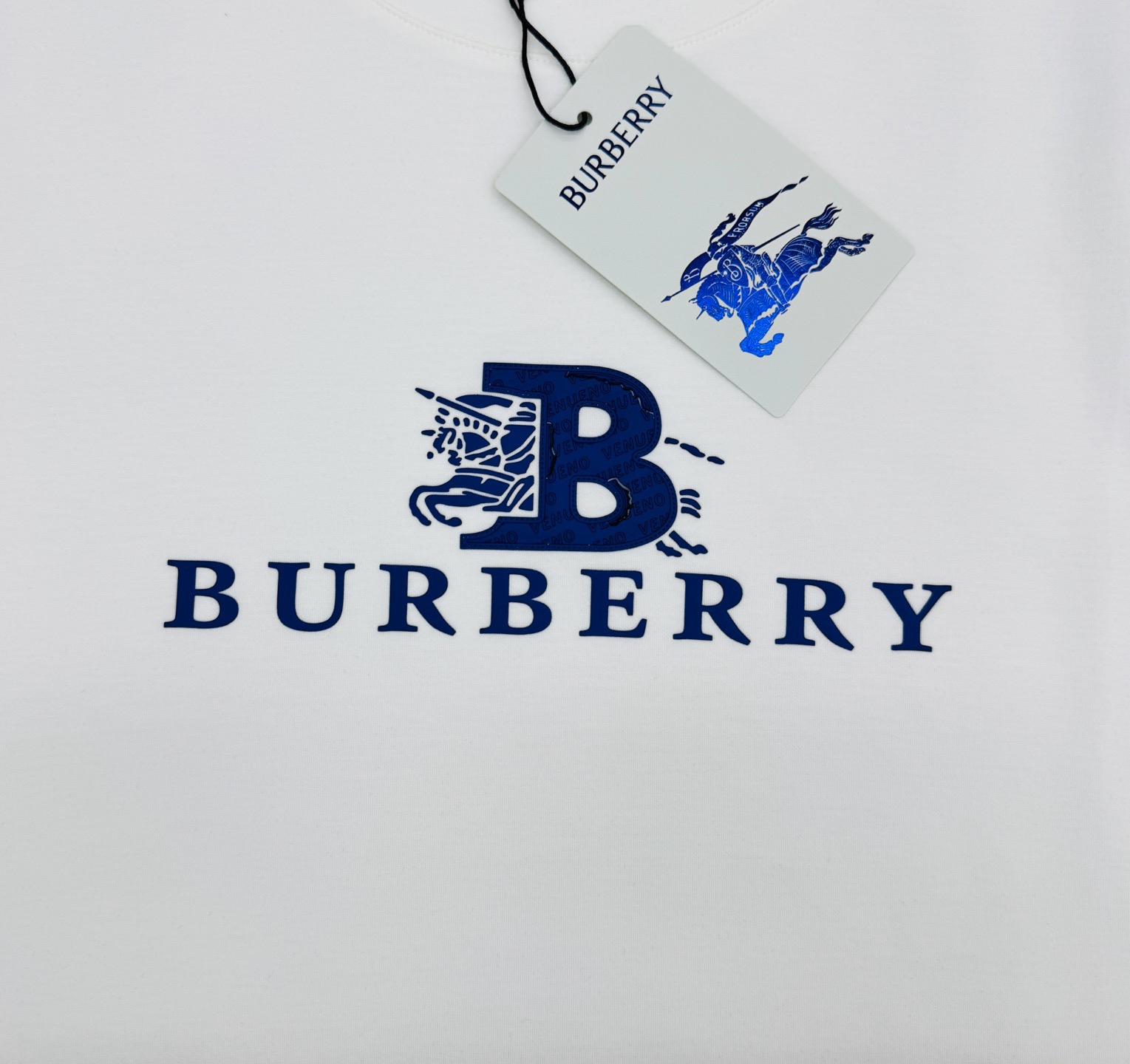 Футболка мужская в стиле Burberry белого цвета с логотипом