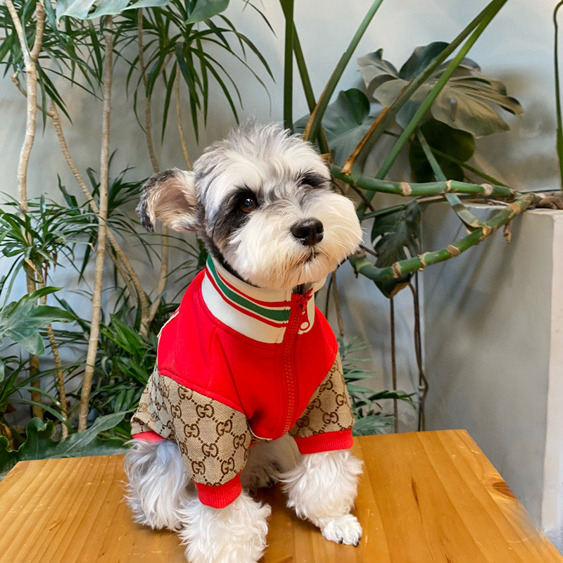 Кофта для собак в стиле Gucci Apple Monogram