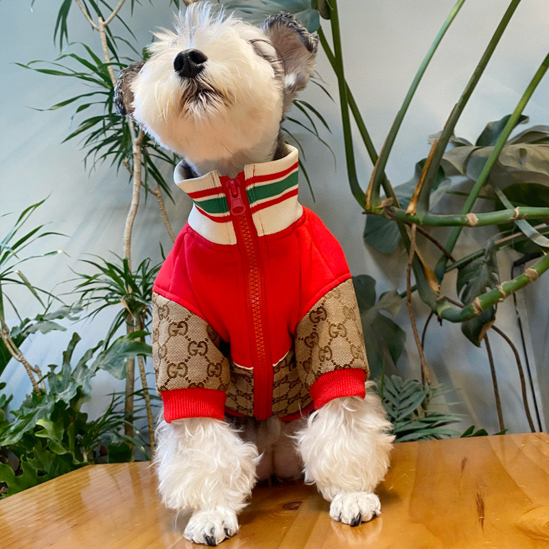 Кофта для собак в стиле Gucci Apple Monogram