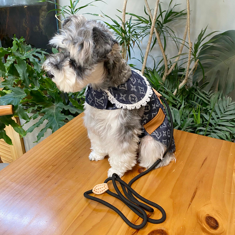 Жилет-платье для собак в стиле Louis Vuitton Denim Monogram с кружевным воротником