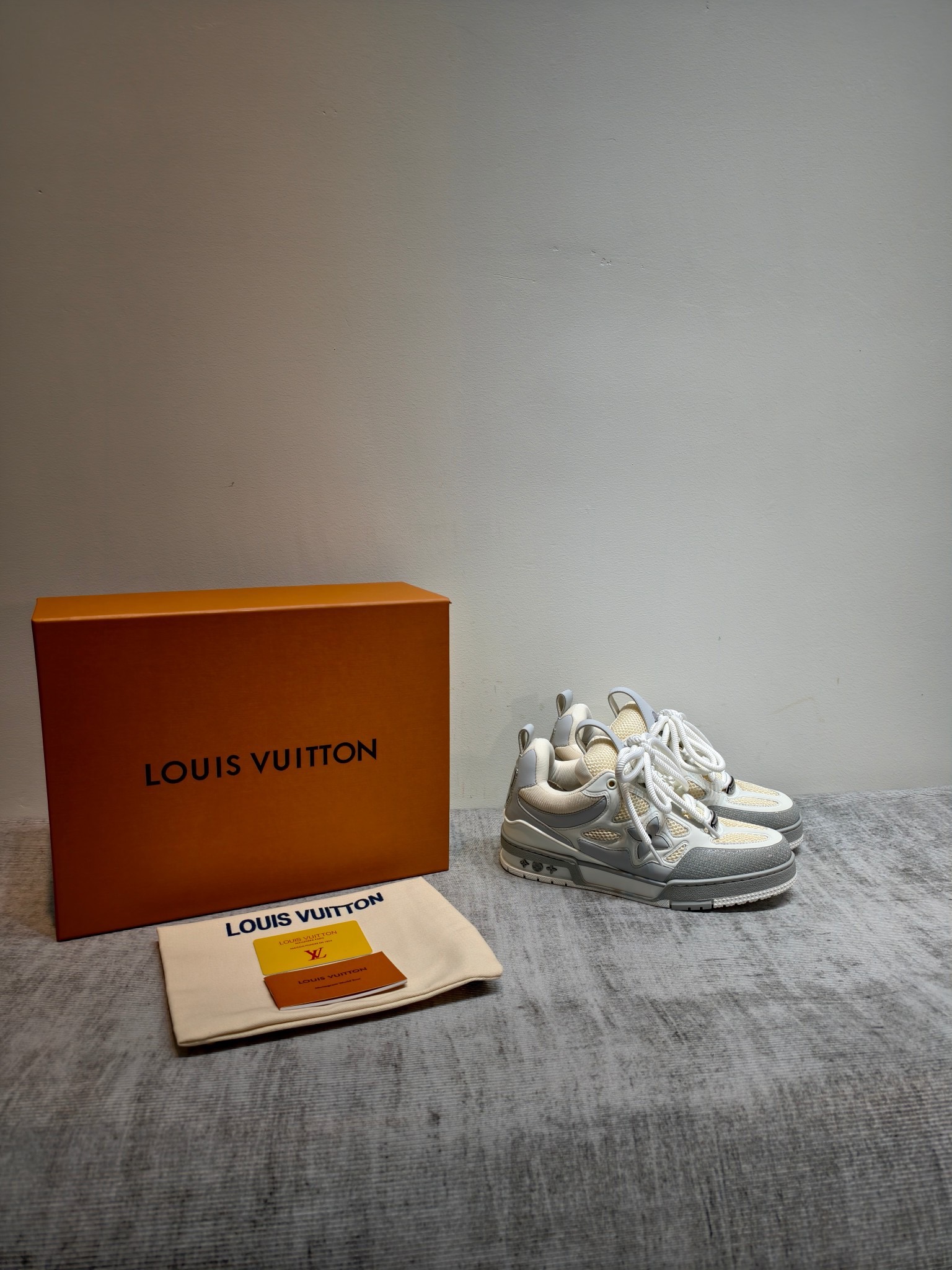 Кроссовки Louis Vuitton Trainer Skate серо-белого цвета