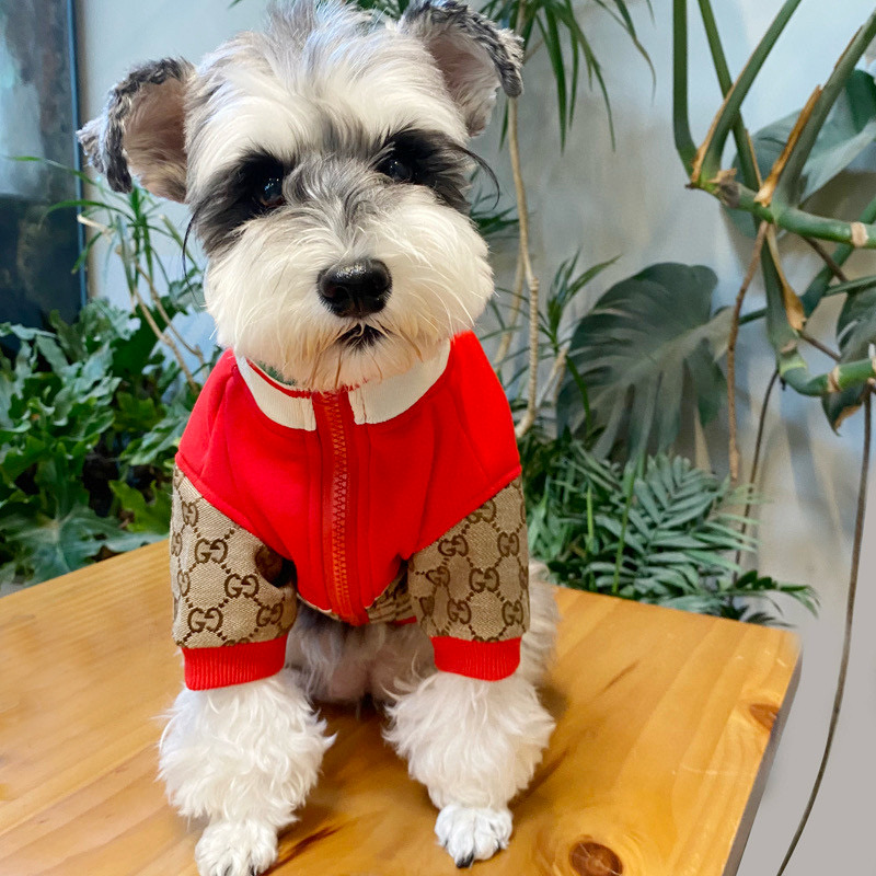 Кофта для собак в стиле Gucci Apple Monogram