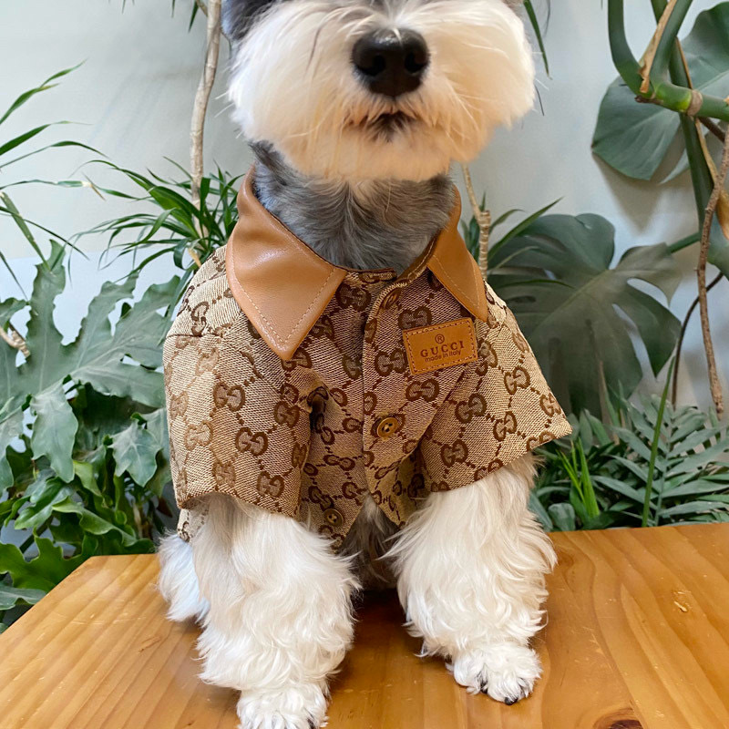 Рубашка для собак в стиле Gucci Monogram с кожаным воротником