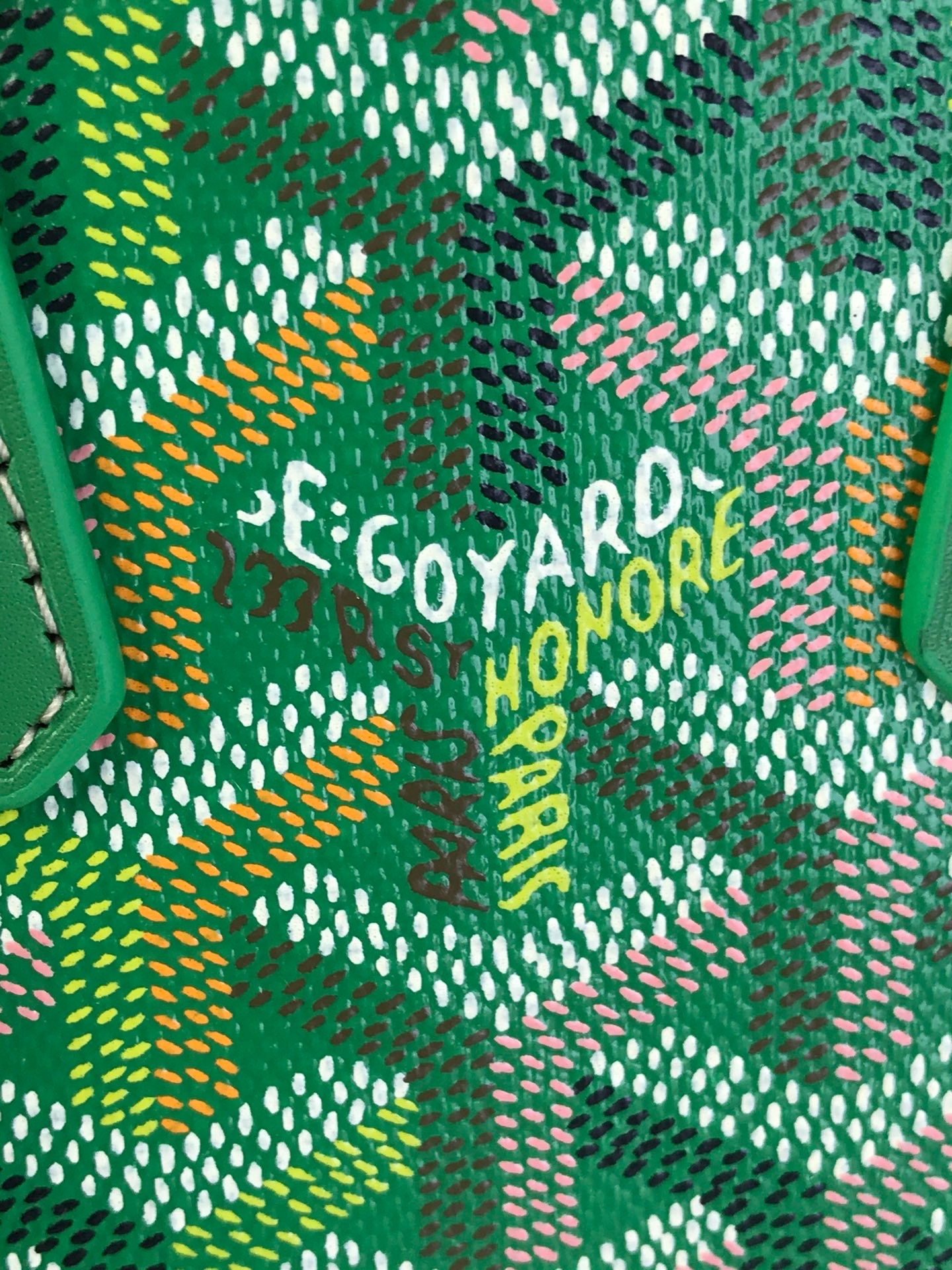 Сумка женская Goyard Vendôme Nano зелёного цвета