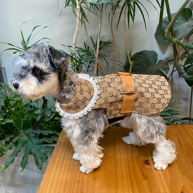 Жилет-платье для собак в стиле Gucci Monogram с кружевным воротником и ремешком