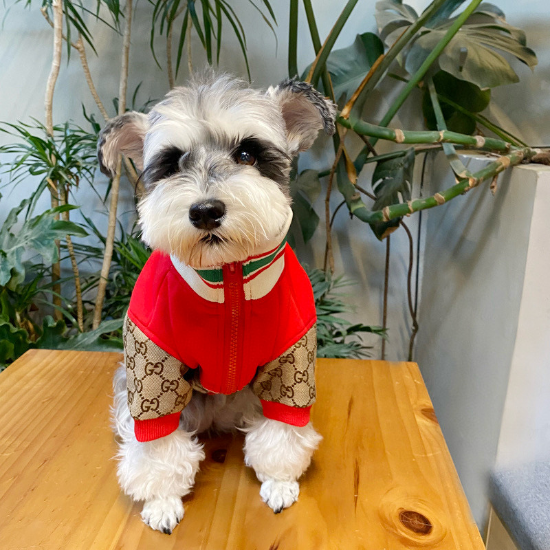 Кофта для собак в стиле Gucci Apple Monogram