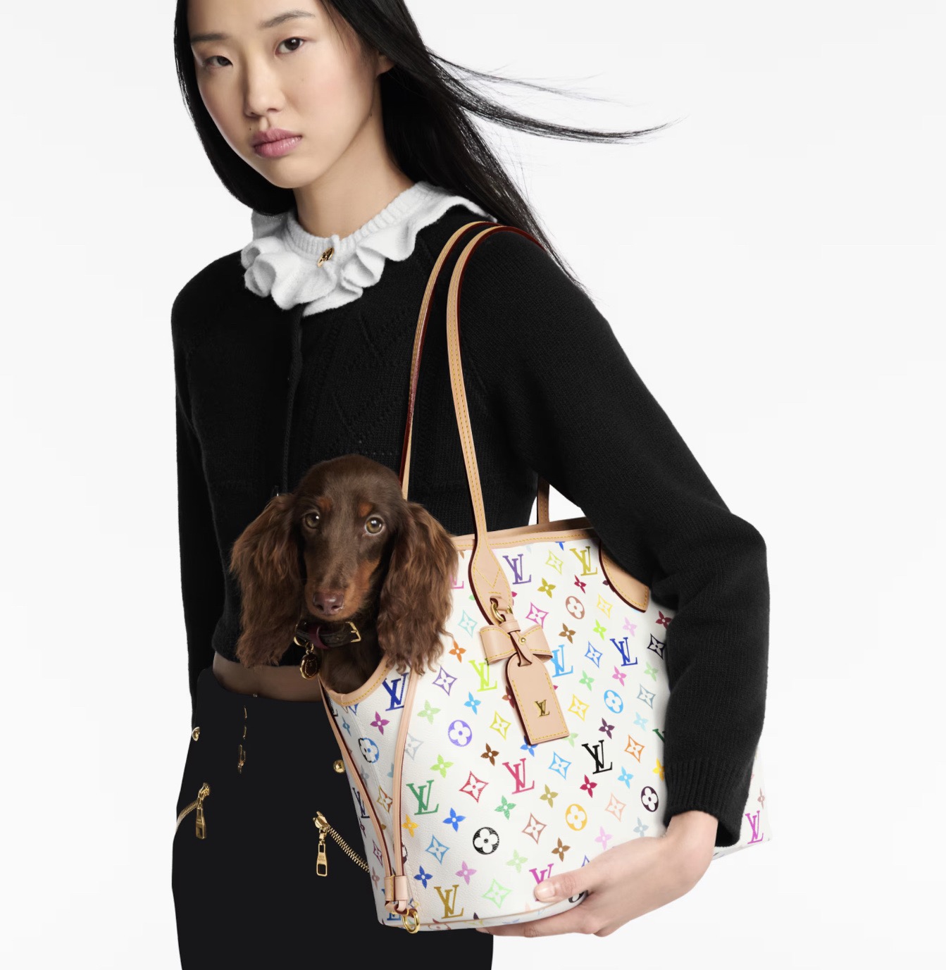 Сумка-переноска унисекс для животных в стиле Louis Vuitton Neverwoof Multicolor