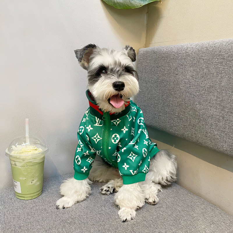 Ветровка для собак в стиле Louis Vuitton Monogram зелёного цвета