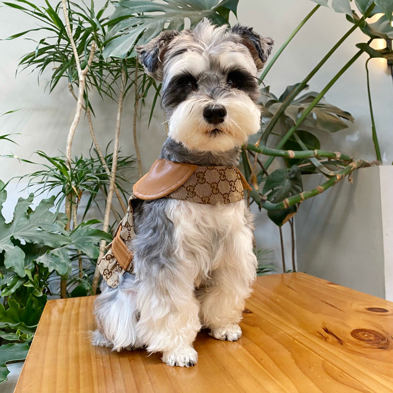 Жилет-платье для собак в стиле Gucci Horsebit Monogram с карамельным воротником