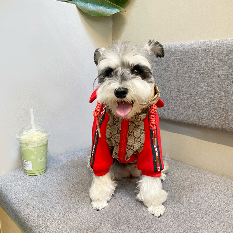 Куртка-дождевик для собак в стиле Gucci Bee Monogram с капюшоном и ушками