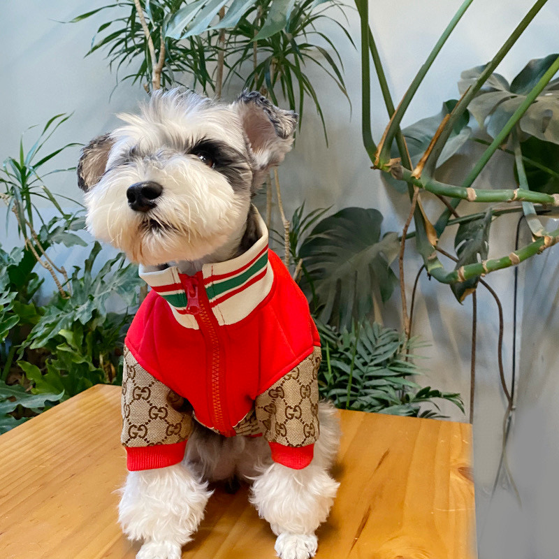 Кофта для собак в стиле Gucci Apple Monogram
