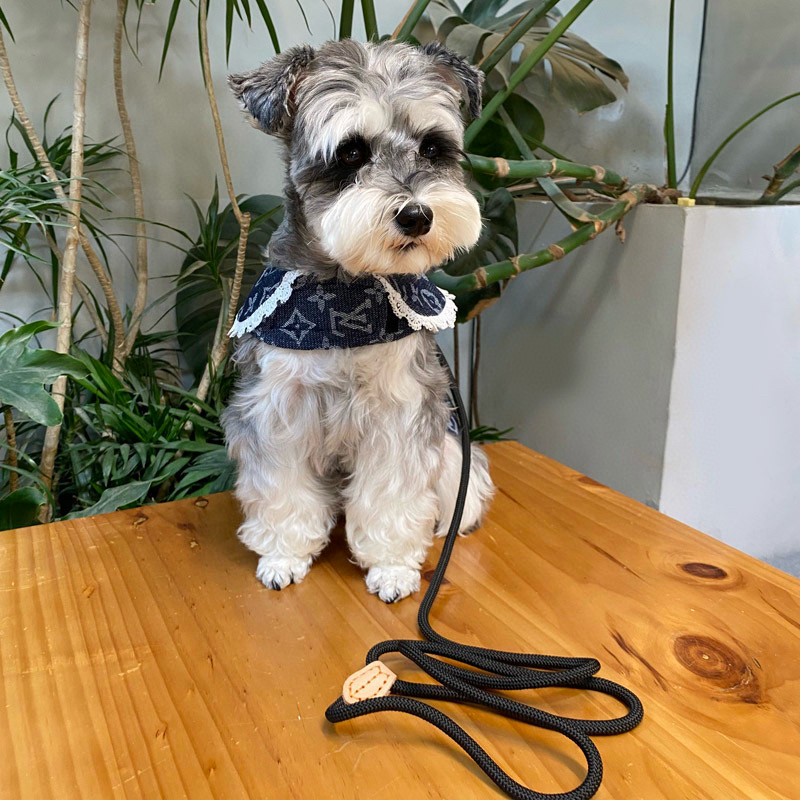 Жилет-платье для собак в стиле Louis Vuitton Denim Monogram с кружевным воротником