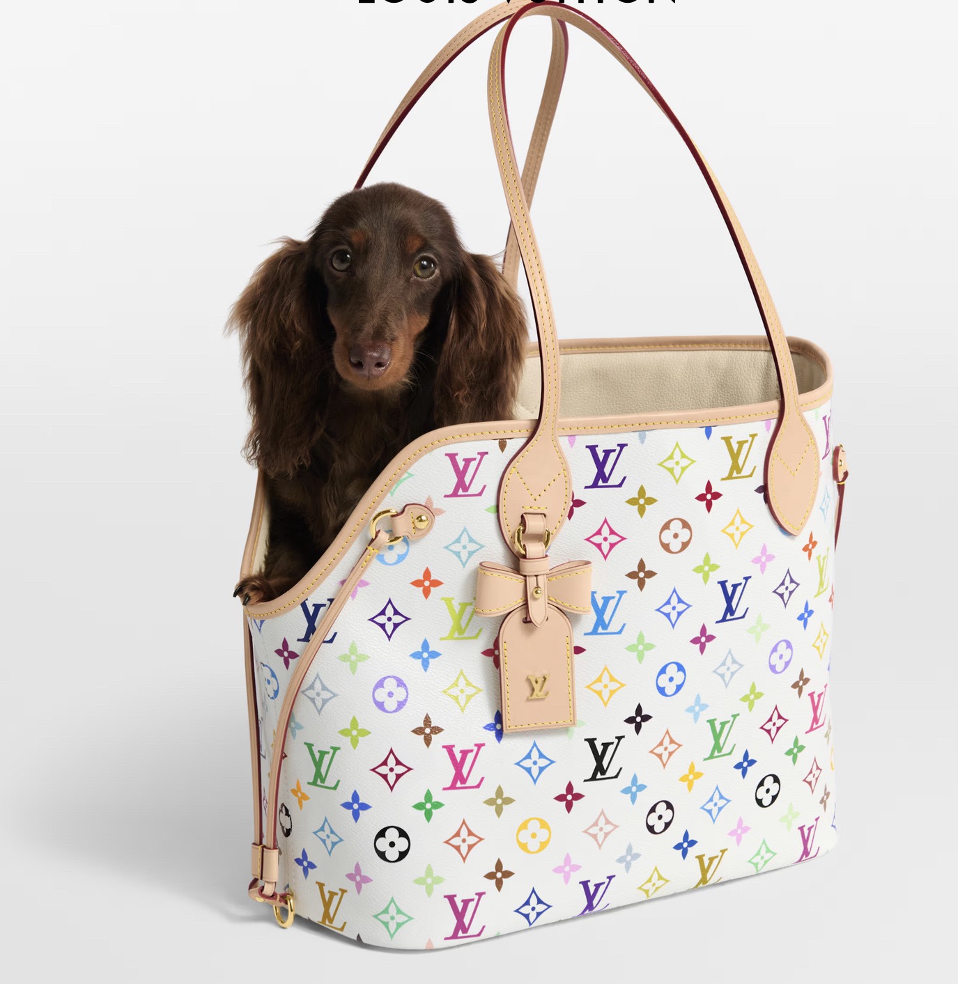 Сумка-переноска унисекс для животных в стиле Louis Vuitton Neverwoof Multicolor